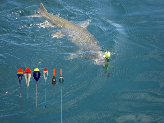 trota a galleggiante